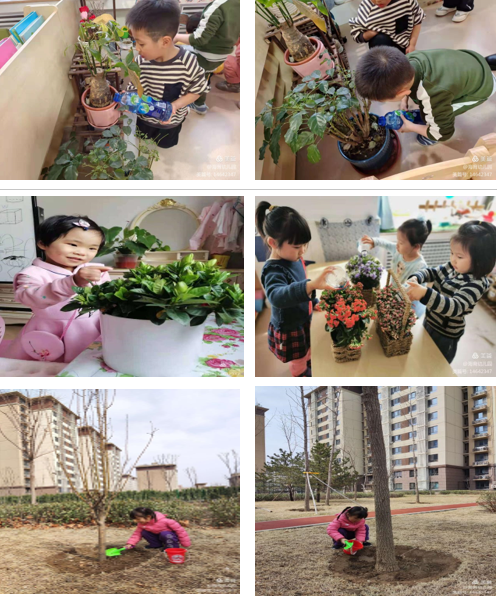 1656037170906395.png 无标题.png