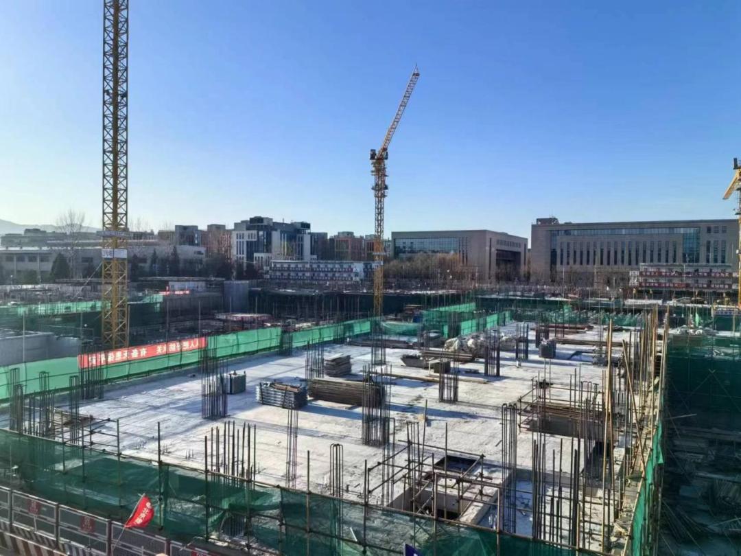 1710912590217655.jpg 图片12.jpg